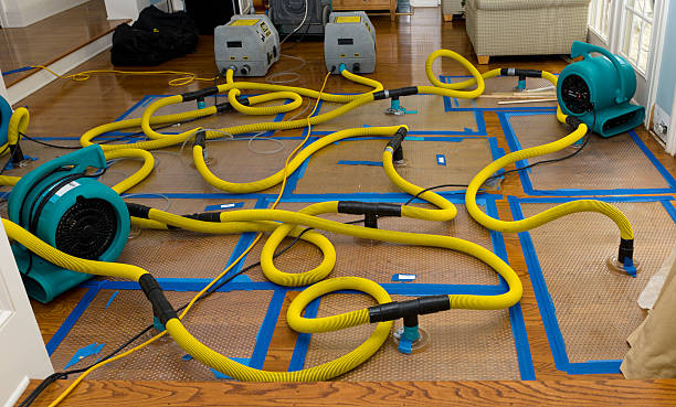 Professional Emergency Water Removal technician working in Hillsboro, TX